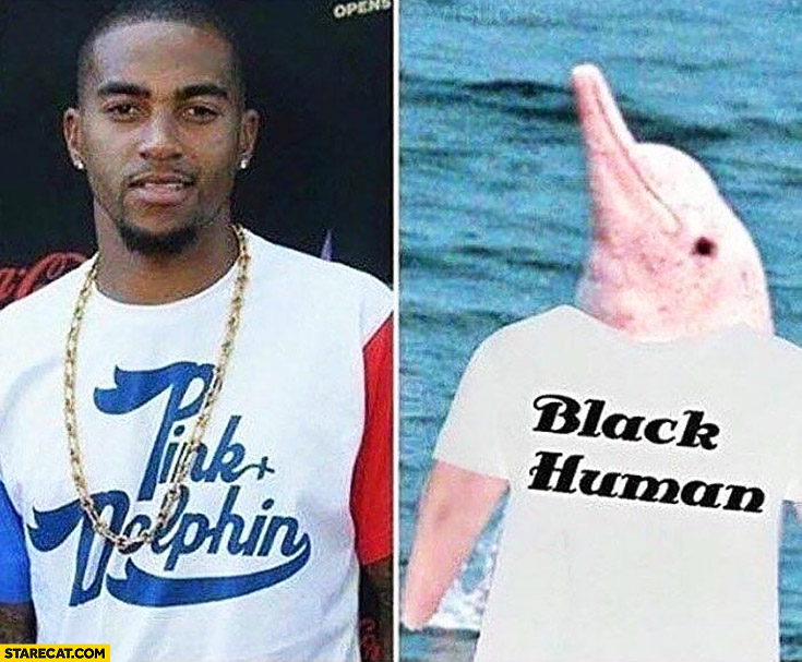 Black man wearing pink dolphin shirt, dolphin wearing black human shirt