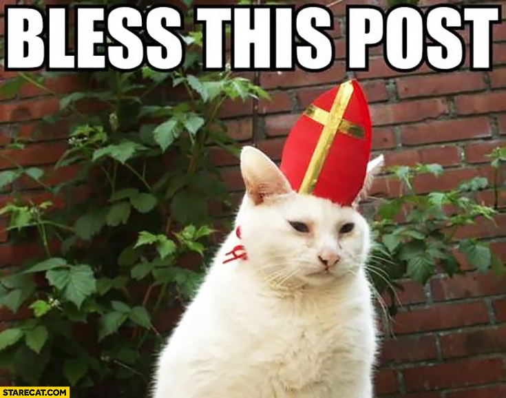 Bless this post pope cat