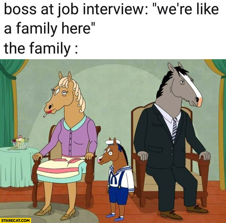 Boss at job interview: were like a family here, the family of horses