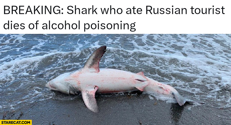 Breaking shark who ate russian tourist dies of alcohol poisoning