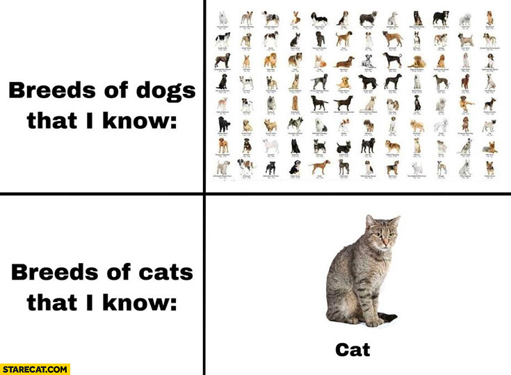 Breeds of dogs that I know many vs breeds of cats that I know only one cat