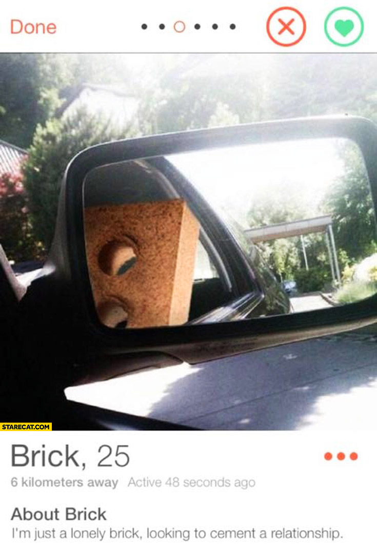 Brick on tinder I’m just a lonely brick looking to cement a relationship