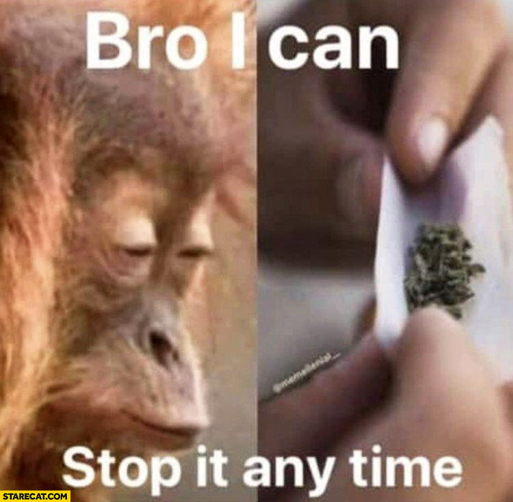 Bro I can stop at any time monkey doing drugs