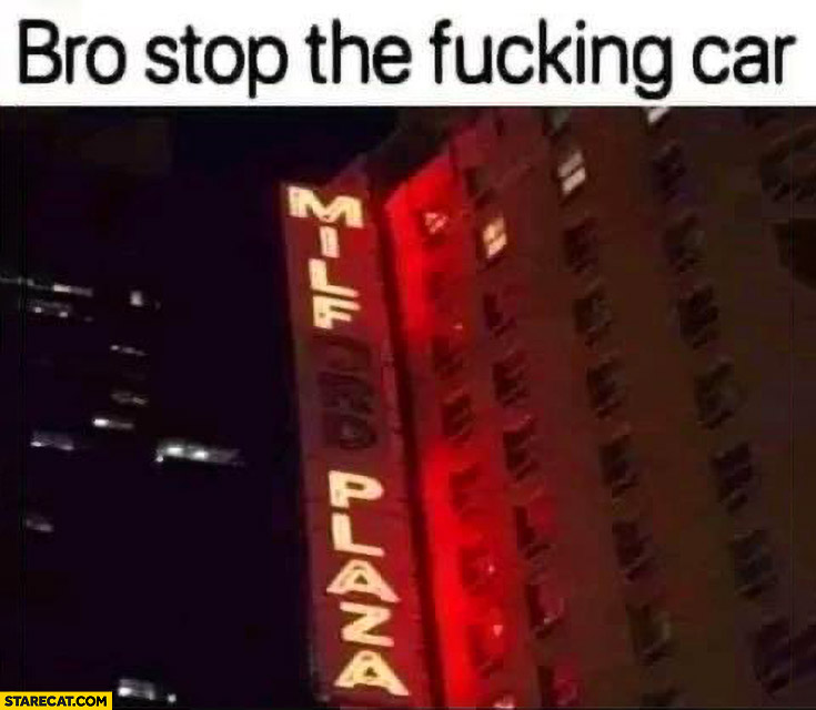 Bro stop the damn car milf plaza