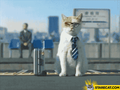 Businessman cat GIF animation