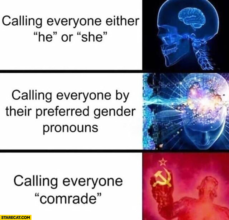 Calling everyone either he or she, calling everyone by their preferred gender pronouns, calling everyone comrade brain meme communism
