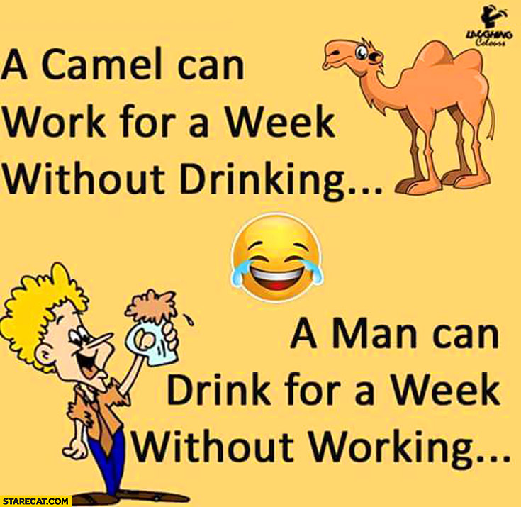 Camel can work for a week without drinking a man can drink for a week without working