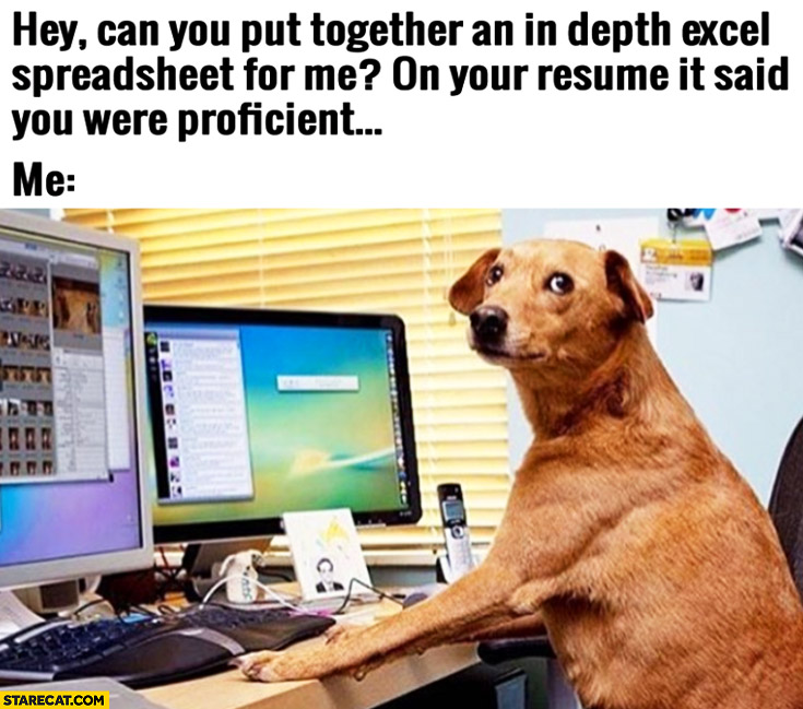 Can you put together an in depth excel spreadsheet for me? On resume it said you were proficient. Me: looking like a dog
