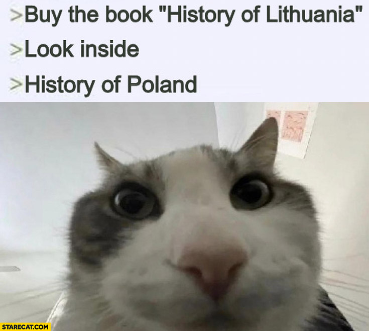 Cat buy the book history of Lithuania, look inside, history of Poland