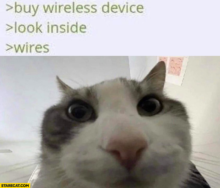 Cat buy wireless device look inside wires