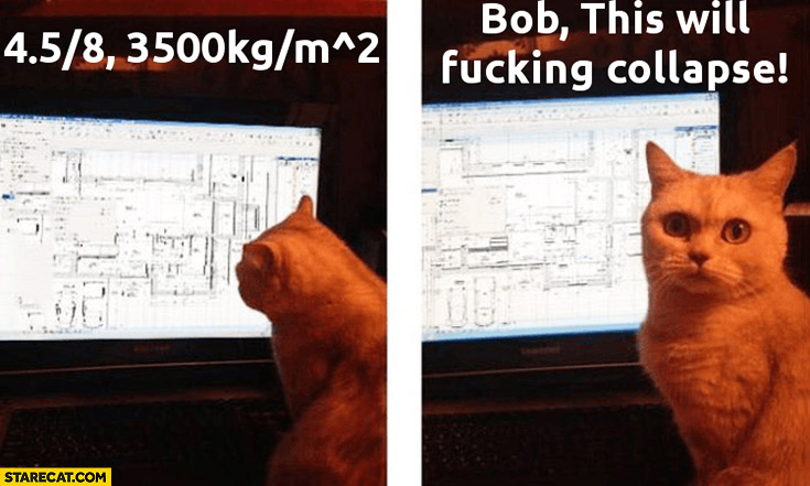Cat checking project: Bob this will collapse terrified