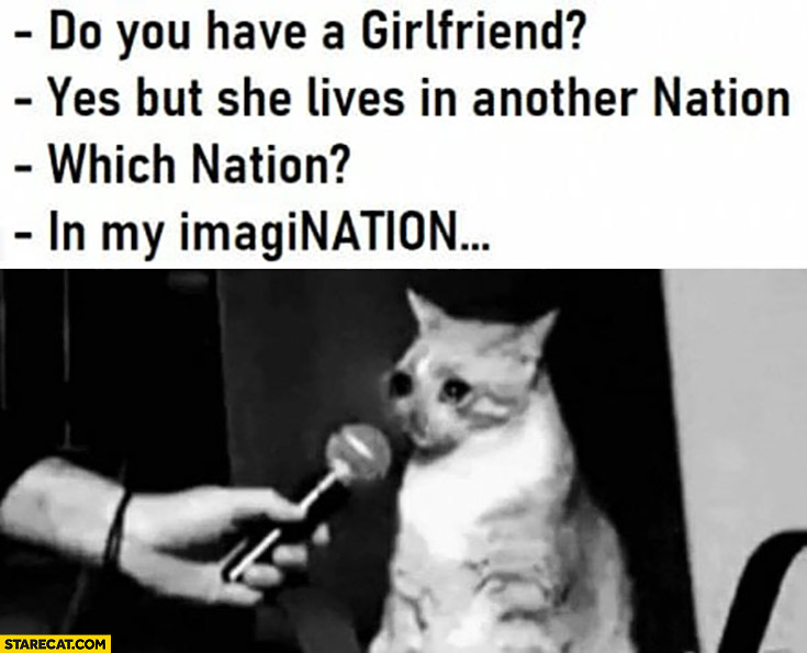 Cat do you have a girlfriend? Yes, but she lives in another nation, which nation? In my imagination