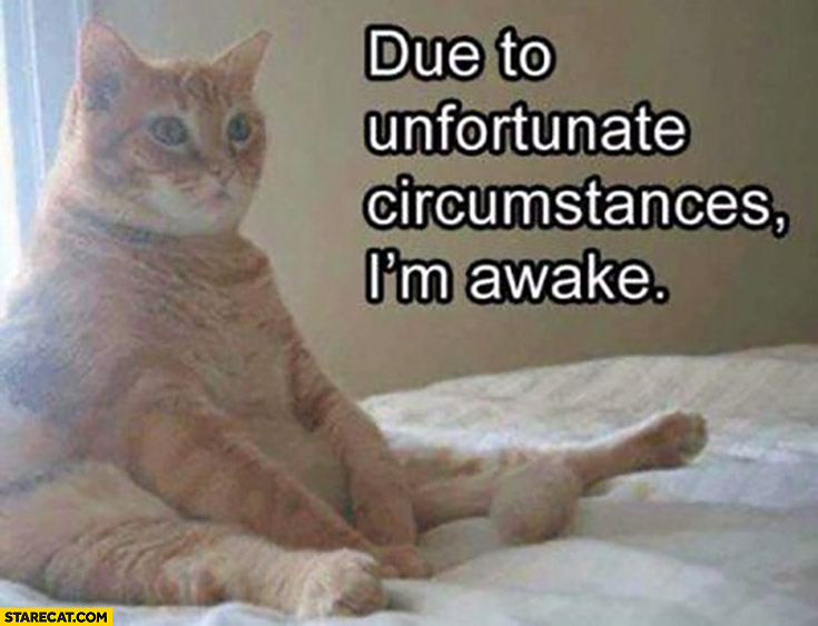 Cat due to unfortunate circumstances I’m awake