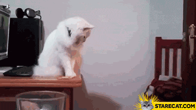 Cat dumping items throwing off GIF animation