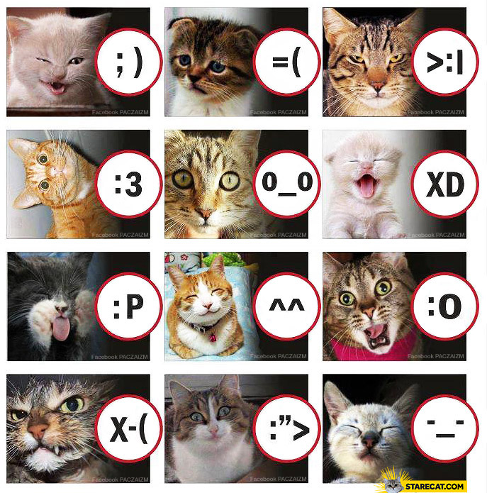 Cat emoticons