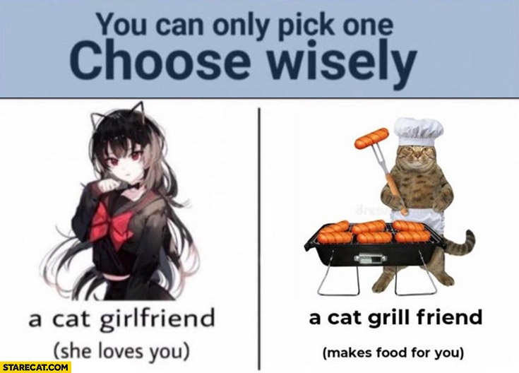 Cat girlfriend vs cat grill friend you can only pick one choose wisely