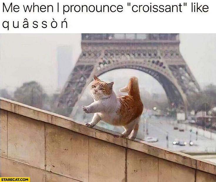 Cat in Paris France me when I pronounce croissant like quasson