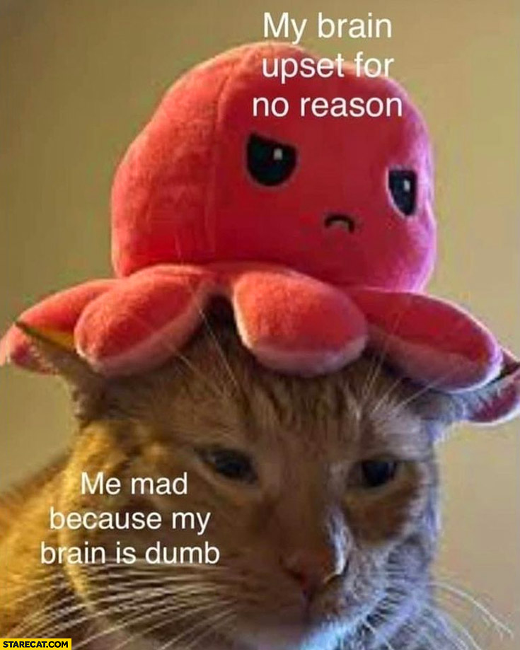 Cat me mad because my brain is dumb vs my brain upset for no reason
