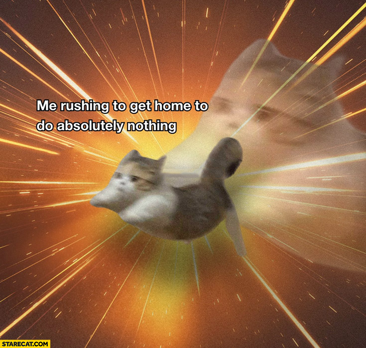 Cat me rushing to get home to do absolutely nothing