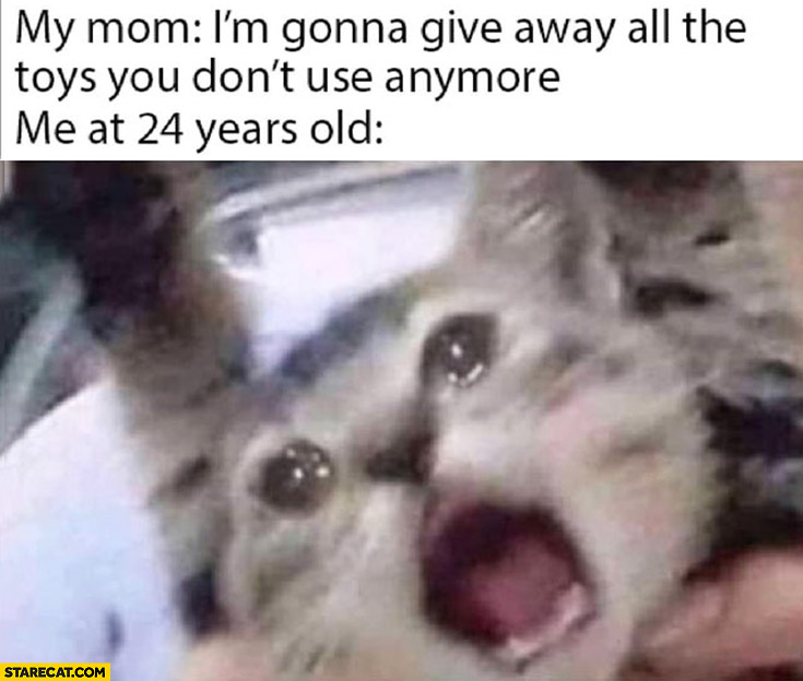 Cat my mom: I’m gonna give away all the toys you don’t use anymore, me at 24 years old