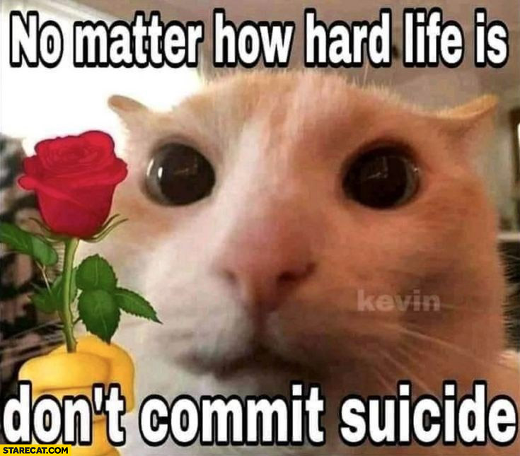 Cat no matter how hard life is don’t commit suicide