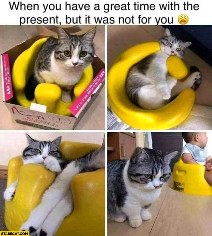 Cat potty when you have a great time with the present but it was not for you