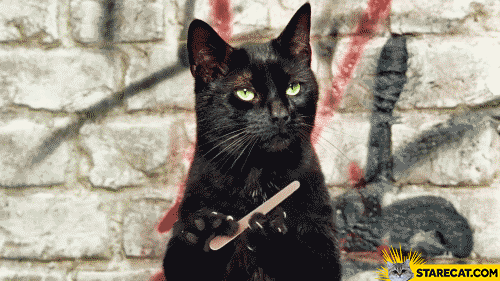 Cat sharpening nails claws filling GIF animation