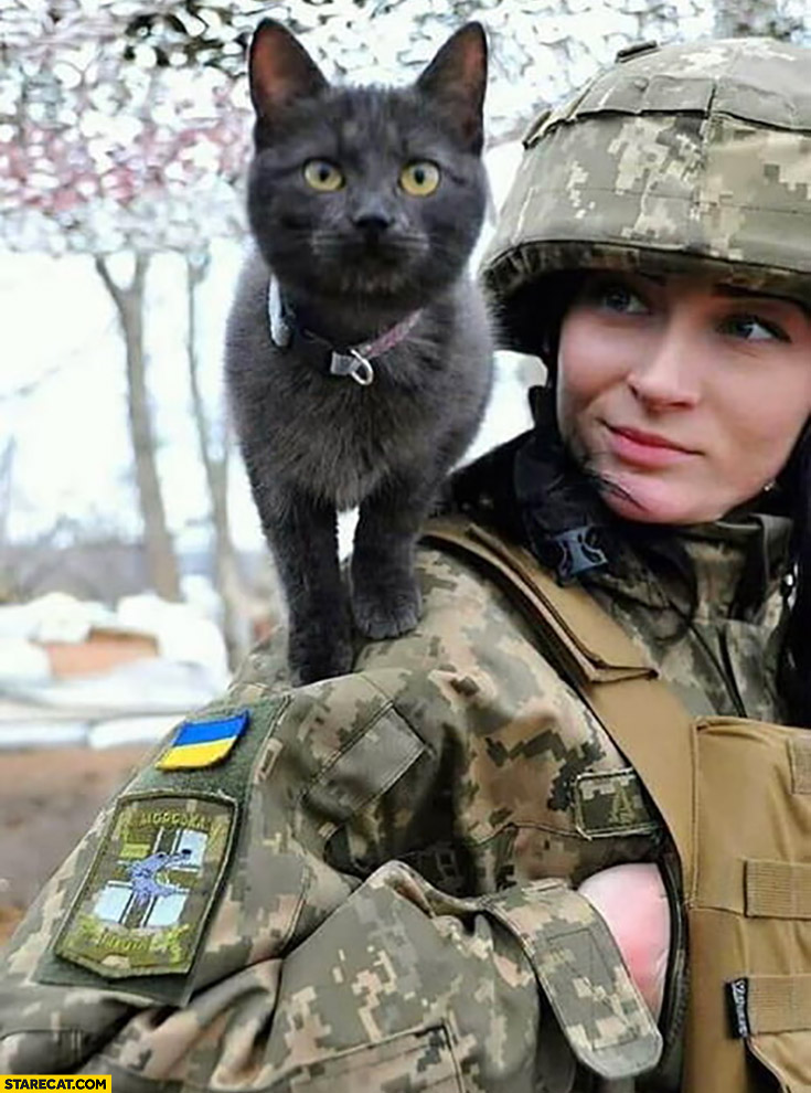 Cat soldier fighting with Ukraine against Russia