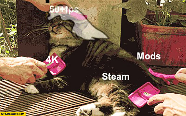 Cat taken care of gaming on a PC 60fps mods Steam 4k