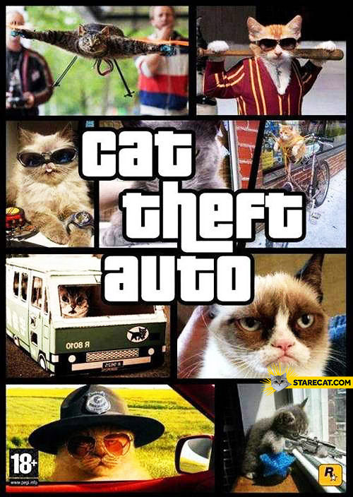 Cat Theft Auto