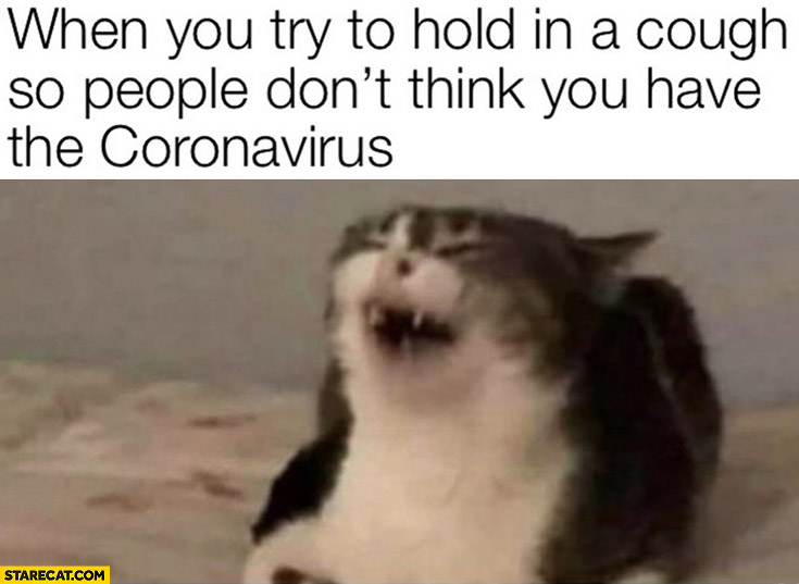 Cat try hold cough so people don’t think have coronavirus