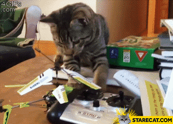Cat vs helicopter fail GIF animation