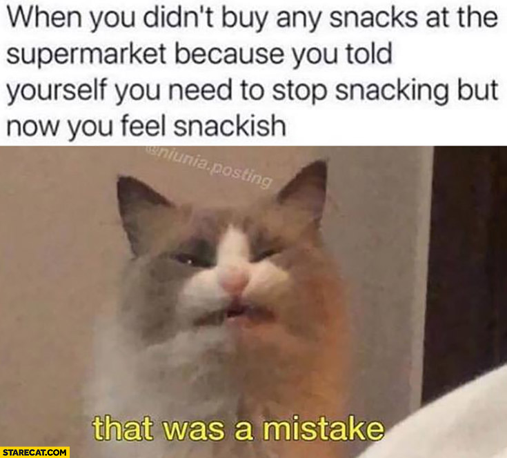 Cat when you didn’t buy snacks but now you feel snackish that was a mistake silly face