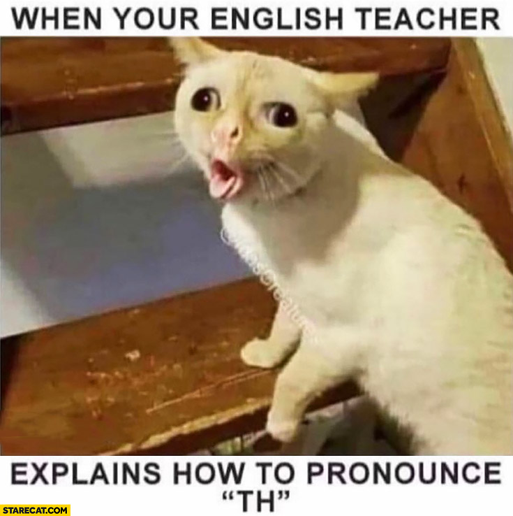 Cat when your english teacher explains how to pronounce th weird face