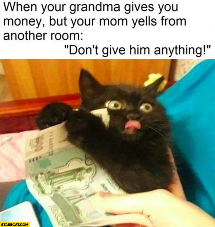 Cat when your grandma gives you money but your mom yells from another room don’t give him anything