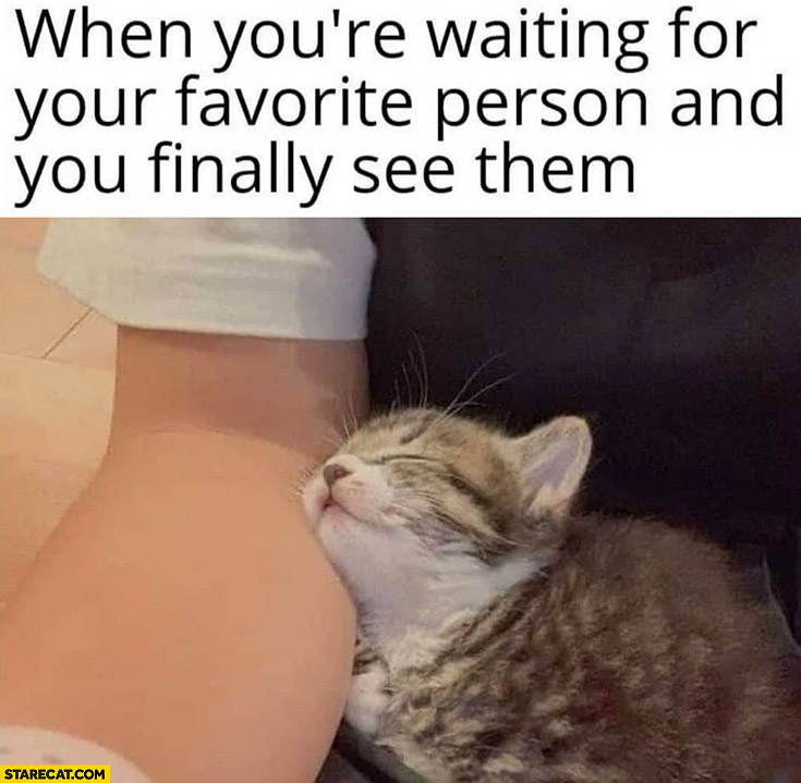 Cat when you’re waiting for your favorite person and you finally see them