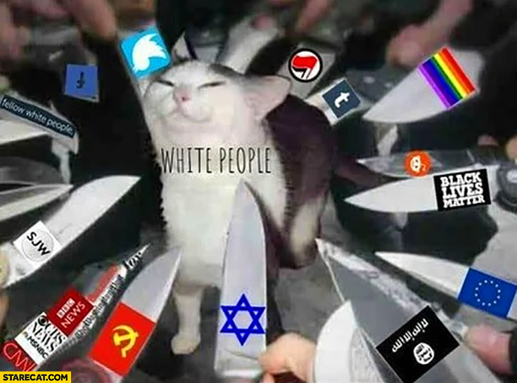 Cat white people knives all media against them