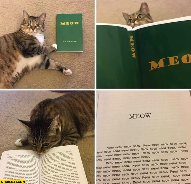 Cat with meow book every word inside is meow
