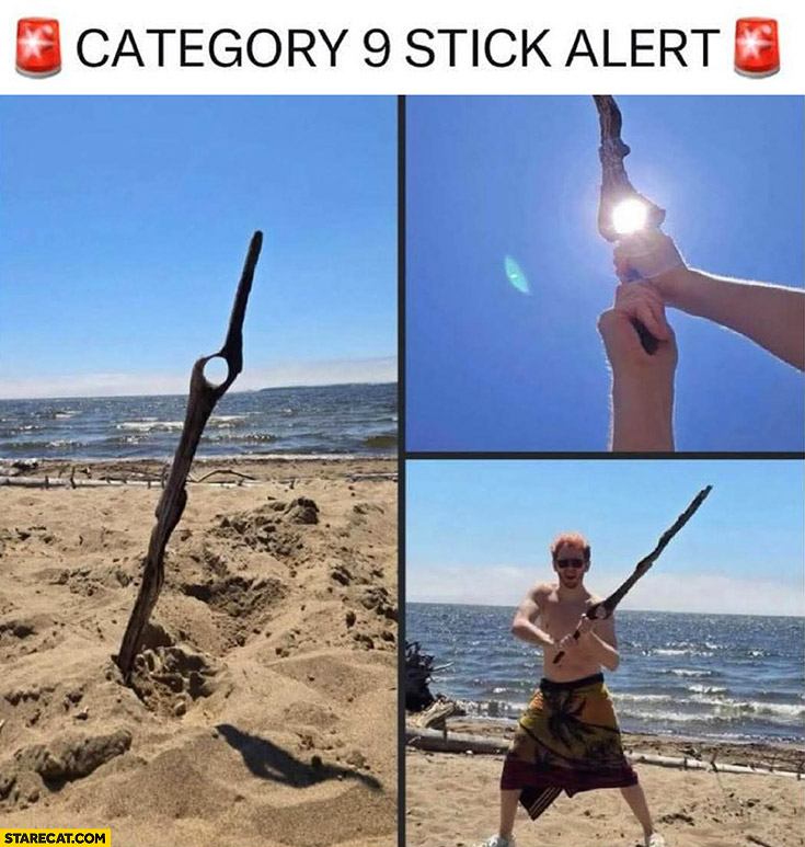 Category 9 stick alert perfect