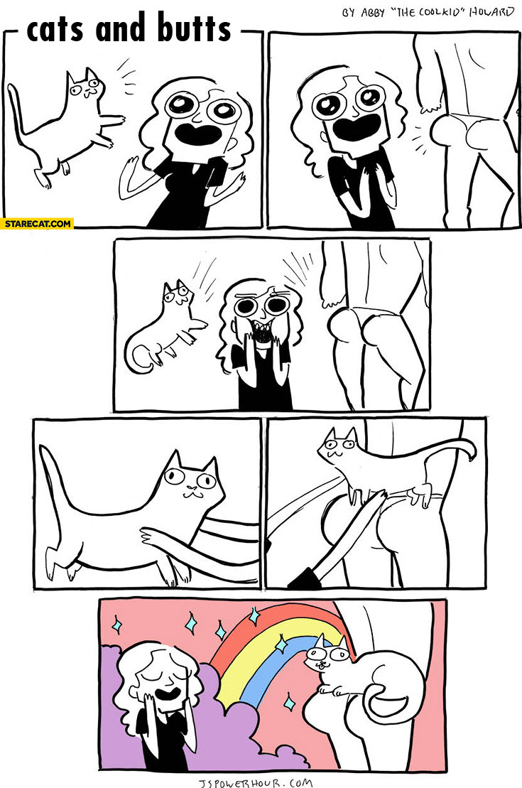 Cats and butts