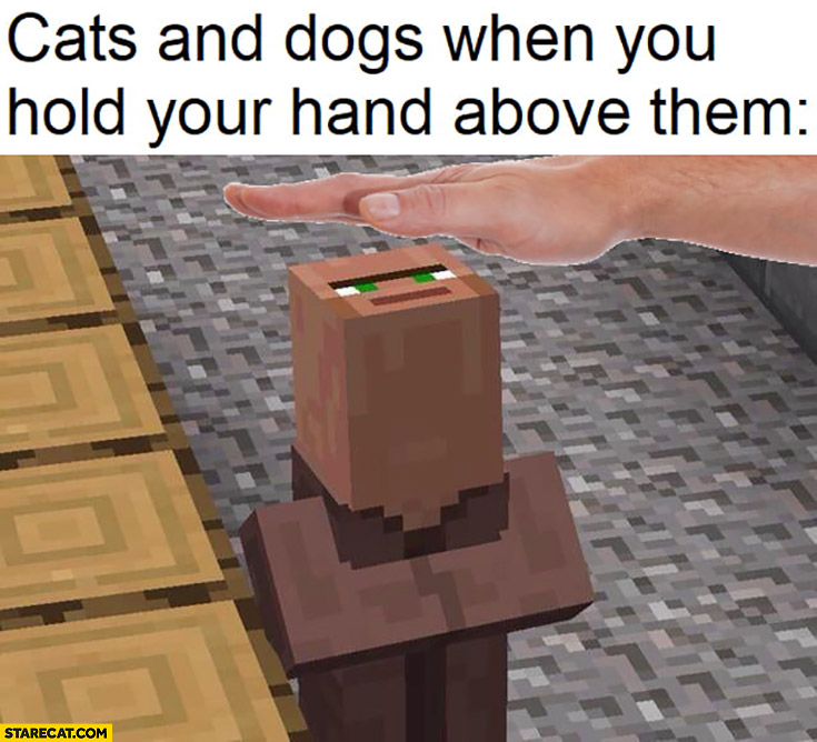 Cats and dog when you hold your hand above them Minecraft