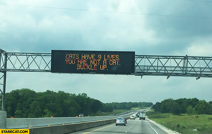 Cats have 9 lives, you are not a cat, buckle up. Highway sign quote