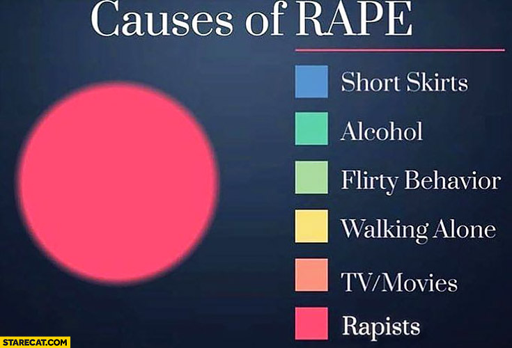 Causes of rape graph rapists, not: short skirts, alcohol, flirty behavior, walking alone, tv/movies