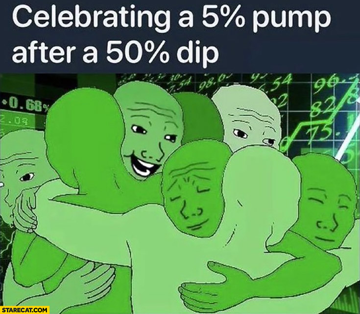 Celebrating a 5% percent pump after a 50% percent dip green anons investors