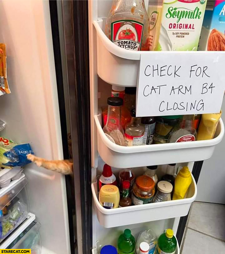 Check for cat arm before closing fridge warning