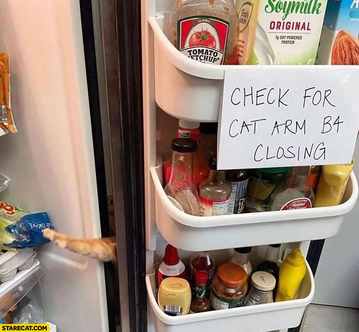 Check for cat arm before closing the fridge