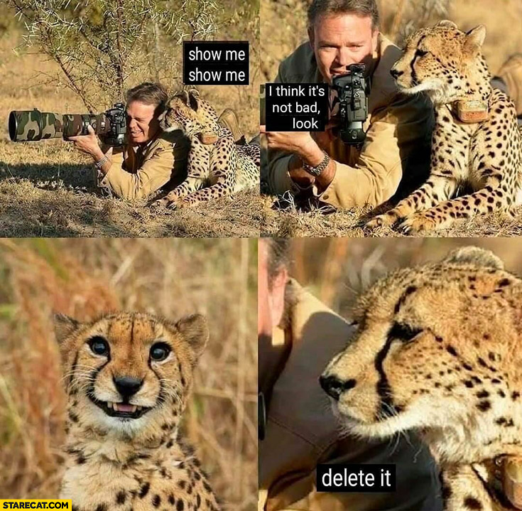 Cheetah tiger photographer show me delete it