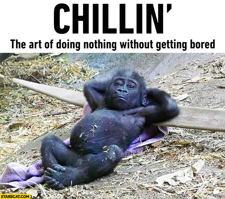 Chillin’ the art of doing nothing without getting bored