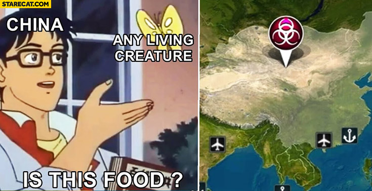 China any living creature is this food Corona virus plague origin