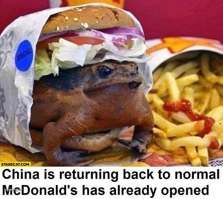 China is returning back to normal McDonald’s has already opened, burger with a frog
